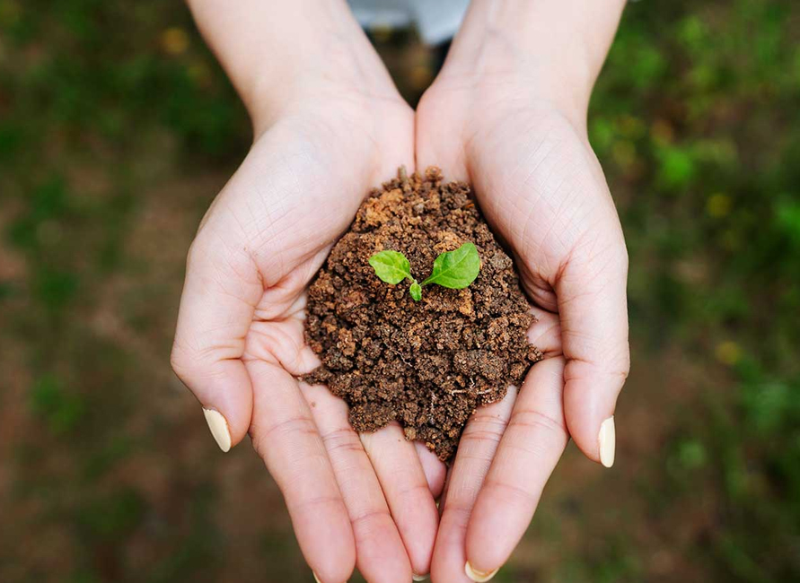 科學(xué)配方施肥大數(shù)據(jù)：有機(jī)肥、化肥如何施用？